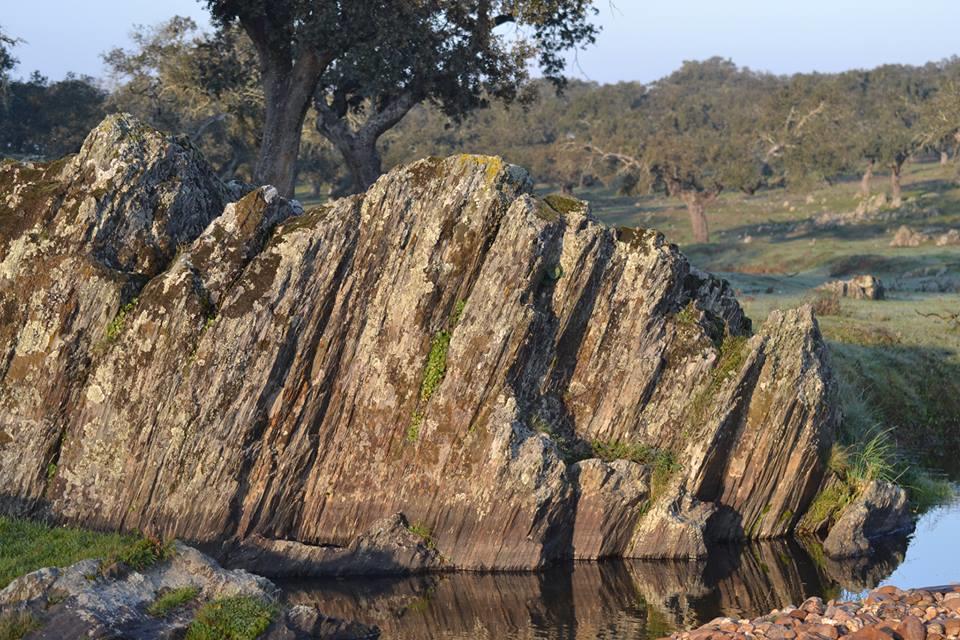 Casa Rural La Brena Talaván Dış mekan fotoğraf