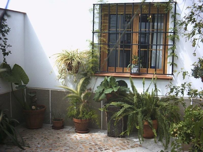 Casa Rural La Brena Talaván Dış mekan fotoğraf