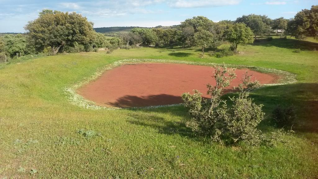 Casa Rural La Brena Talaván Dış mekan fotoğraf